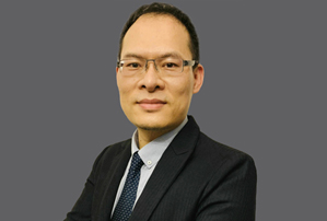 杨律师